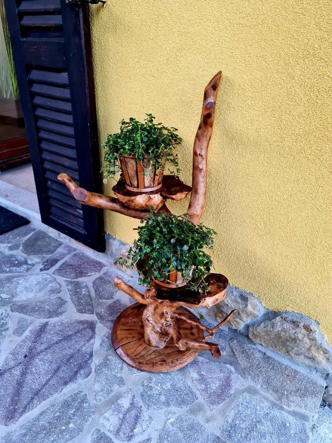 Casa Villanova Homes Nova Vas nad Dragonjo Eksteriør bilde